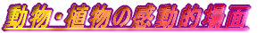 EÅI